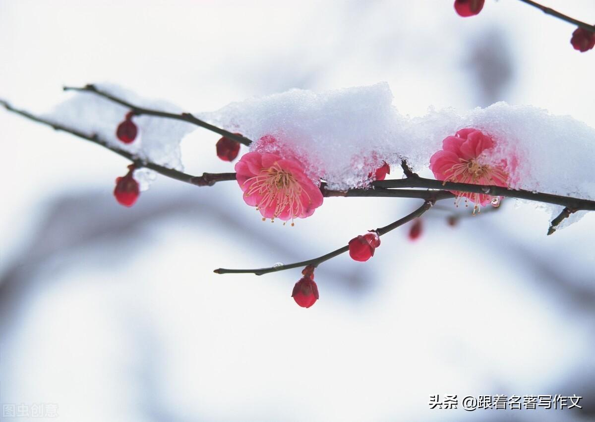 <b>入冬以来的第一场雪终于来了，关于下雪的作文，你的孩子会写吗？</b>