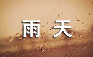 <b>下雨天作文分享</b>