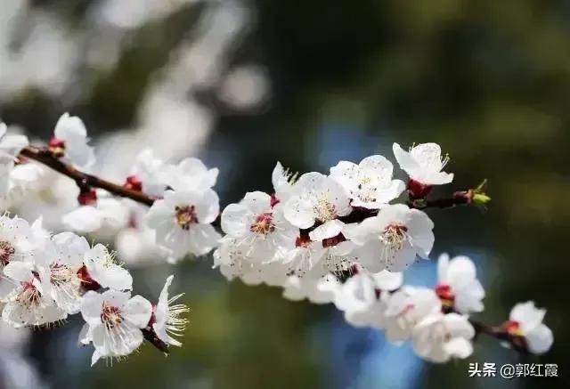 <b>多彩季节，情景交融——一组精彩的借景抒情作文初中</b>