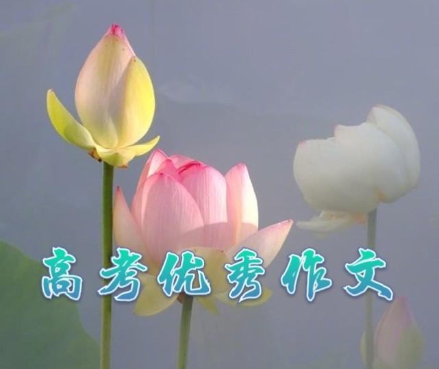 <b>湖南卷高考作文《芥子纳须弥》，论构思独特、意境脱俗，只服这篇</b>