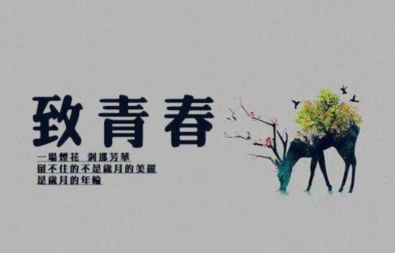 <b>中考满分作文：青春在我心间（我在初中生活中学会了珍惜你）</b>