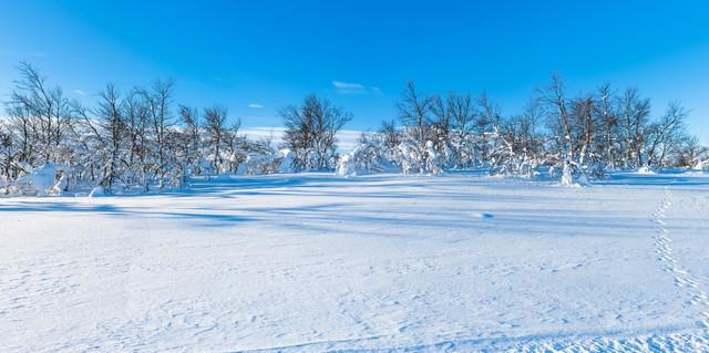 <b>三年级小学生写景作文欣赏《下雪了》</b>