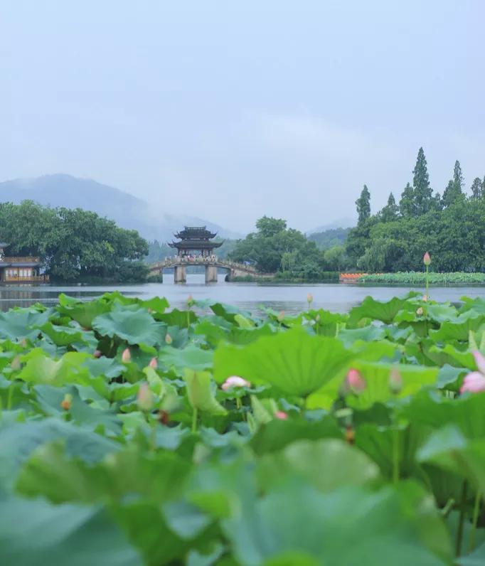 <b>小学生风景作文——美丽的西湖/我眼中的西湖</b>