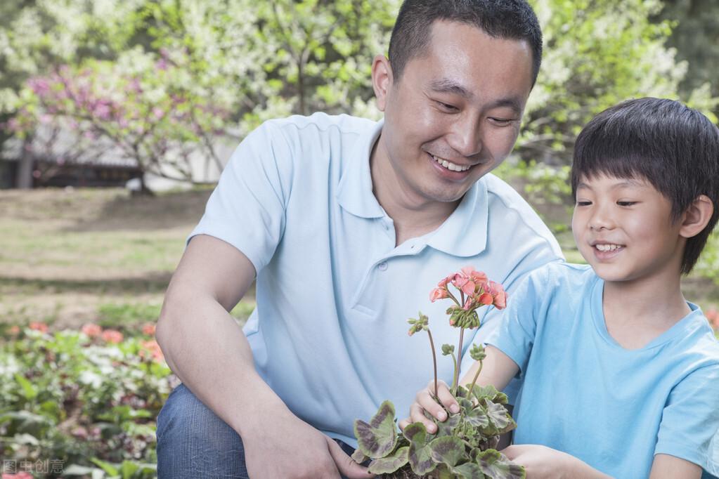 <b>中学生关于慢一点更好的优秀作文：慢下来，会精彩</b>