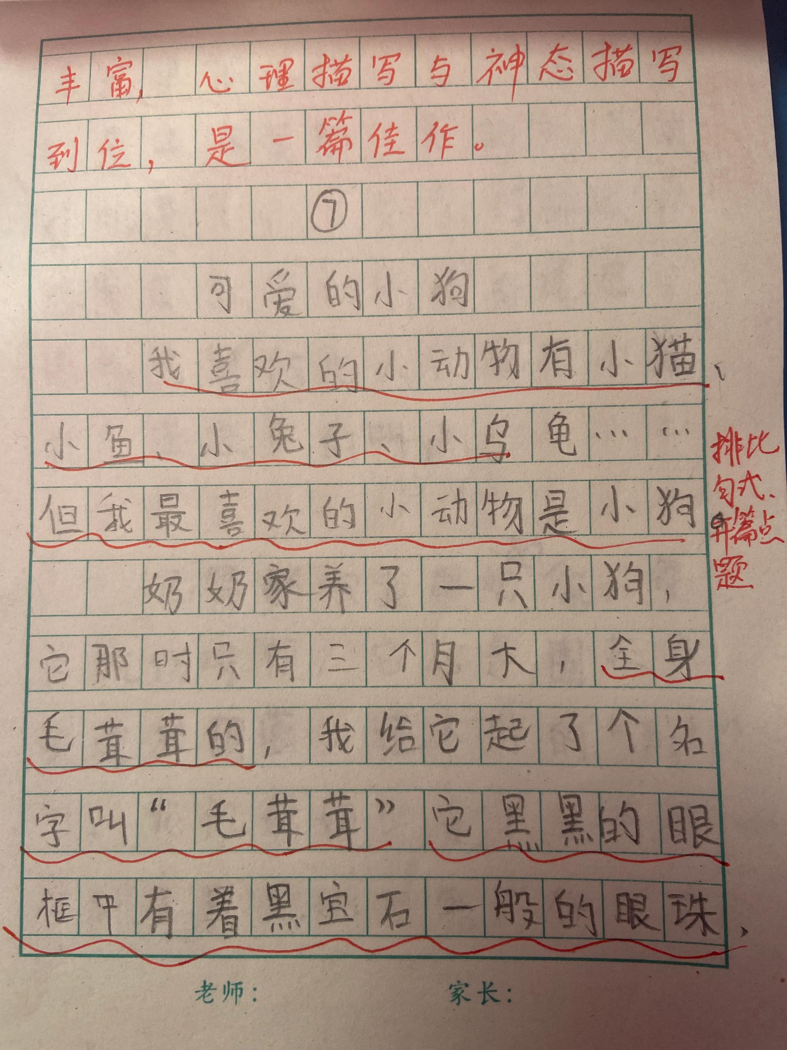 <b>可爱的小狗（小学作文成长记）二年级</b>