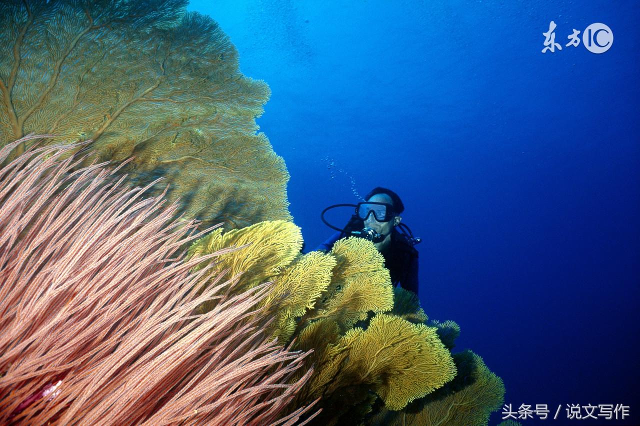 <b>以海底冒险为题的作文500字——《海底探险记》</b>