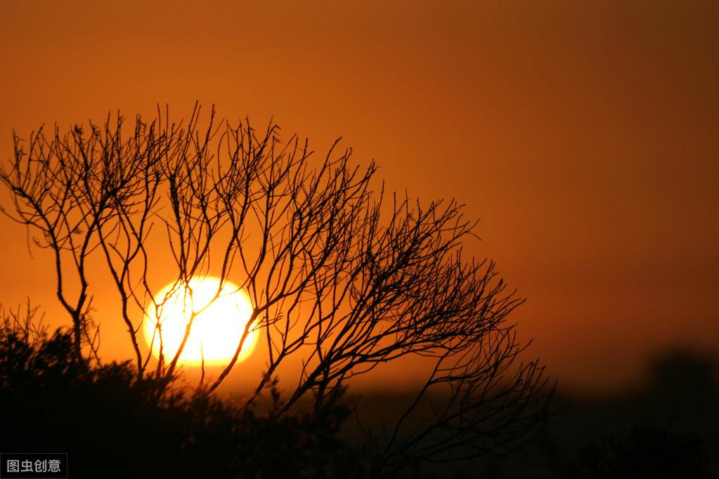 <b>初中生以落日为题的优秀作文：夕阳</b>