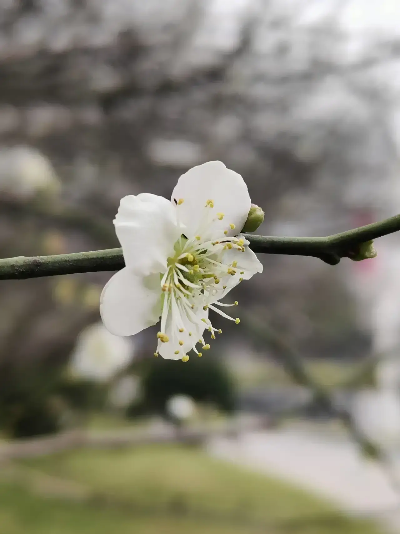 <b>初三数学教学总结范文大全</b>