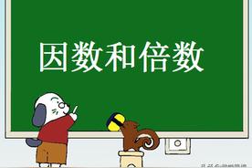 <b>什么是因数和倍数（小学数学倍数和因数）</b>