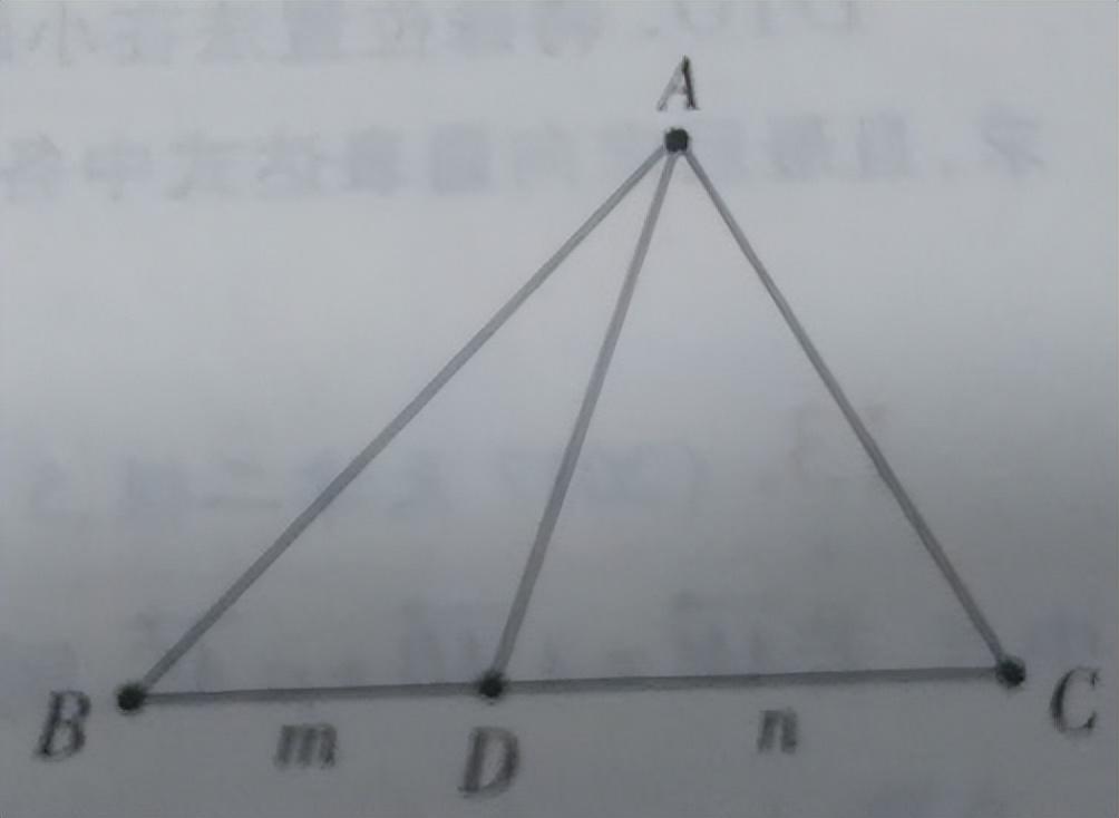 <strong>单位向量公式推导过程（高中数学学习——向量的概念与线性运算）</strong>