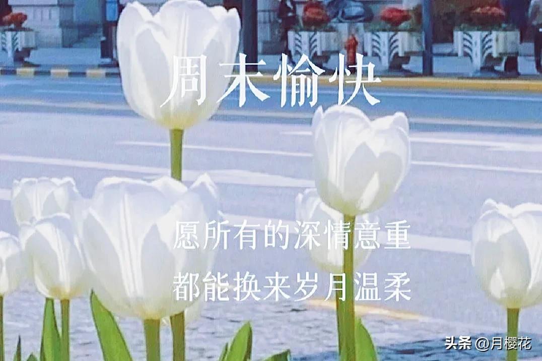 <b>周末愉快祝福语文案（周末朋友圈文案，祝你开心好运来）</b>